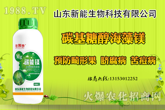 冬季大棚草莓畸形果原因，出現(xiàn)畸形果怎么防治？