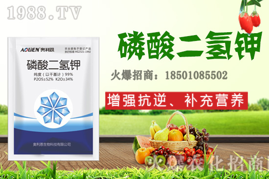 吡唑醚菌酯+蕓苔素＋磷酸二氫鉀，有什么作用？