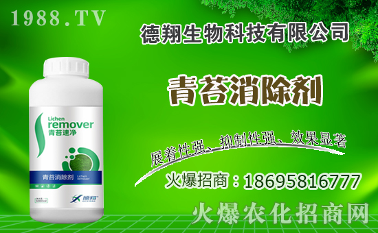 油菜什么時(shí)間種植，油菜種植方法是什么？有哪些注意事項(xiàng)？