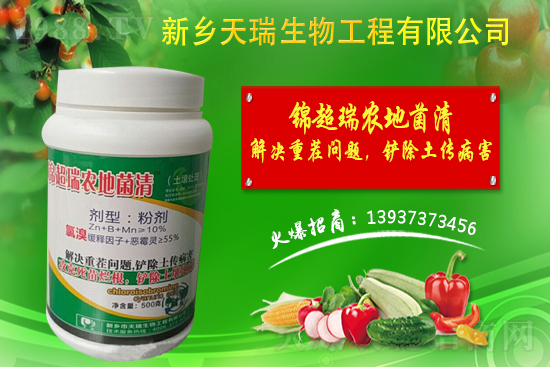 洋蔥如何施肥？洋蔥施肥方法及播種時(shí)間！