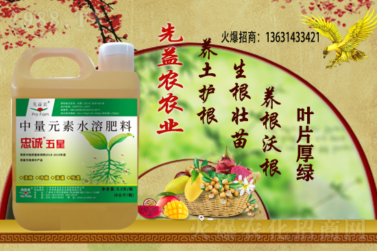 花生價(jià)格還能繼續(xù)上漲么？2020-11-10部分區(qū)域花生價(jià)格詳情