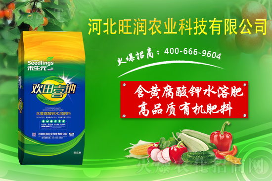 果園反光膜怎么鋪效果好？果園鋪反光膜五要點！