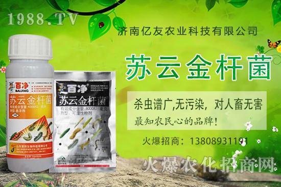 黃桃種植應(yīng)該注意哪些事項？黃桃種植時間及田間管理！