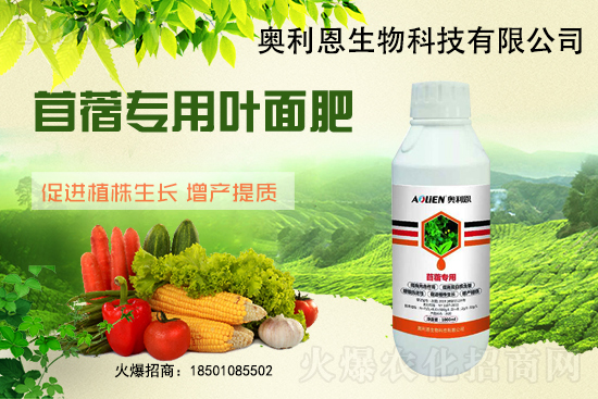 苜蓿越冬肥怎么施？苜蓿的施肥管理