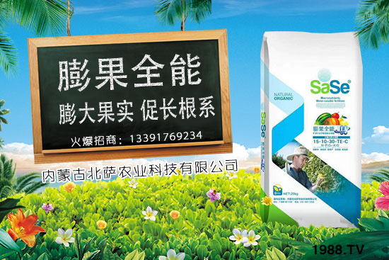 菜椒要怎么種植？菜椒生長(zhǎng)條件及種植技術(shù)！