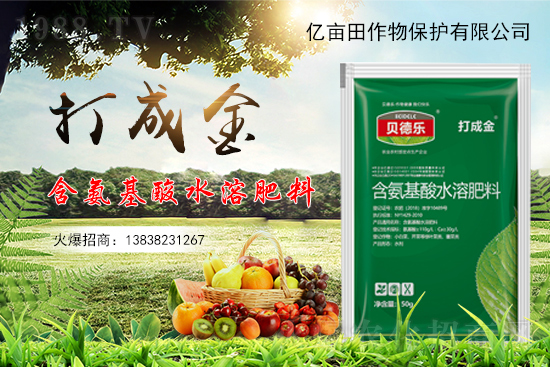 種植草莓不甜是什么原因？如何促進(jìn)草莓增甜？