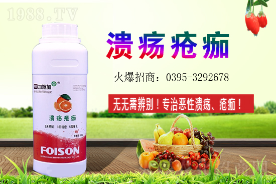 2021年石榴種植收益如何？石榴的利潤前景怎么樣？