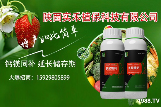 西紅柿卷葉是什么原因，西紅柿卷葉防治措施有哪些？