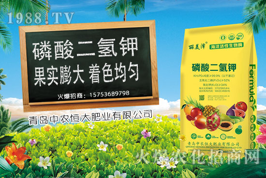 今日小麥價格上漲，后期是否會持續(xù)上漲？