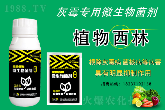 灰霉病不好治的原因，怎么做防治效果好？