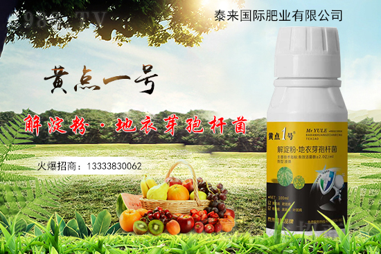 黃瓜葉片起“小黃點”是什么??？防治方案有哪些？