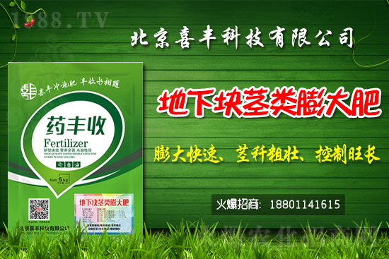     小麥價(jià)格還能繼續(xù)上漲嗎？2021春節(jié)前小麥價(jià)格預(yù)測(cè)！