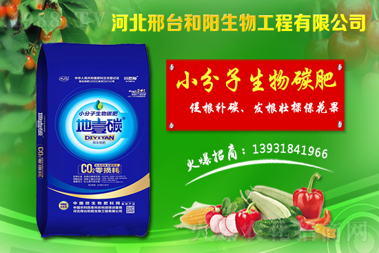 春節(jié)前小麥價格會不會漲？今日小麥價格行情！