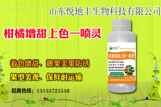 今年水稻價格多少錢一斤？水稻價格為何上漲？