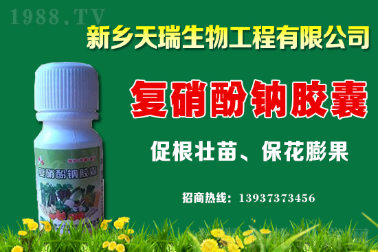 大蔥一畝地能產(chǎn)多少斤？大蔥價(jià)格為何上漲？