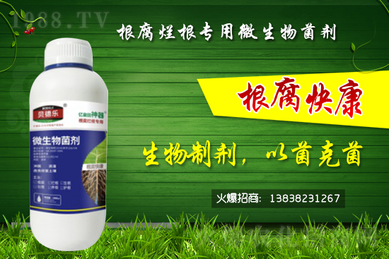 ΢������������θ������᣿��ô�x����