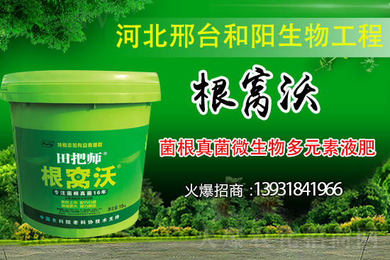 哪些病害屬于土傳病害？采取什么措施可以防治？