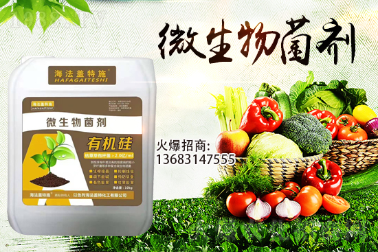 寒潮來襲！大棚持續(xù)低溫，作物生根要點(diǎn)！
