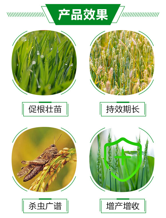 2%吡蟲(chóng)啉-安之播-華豐生化_03