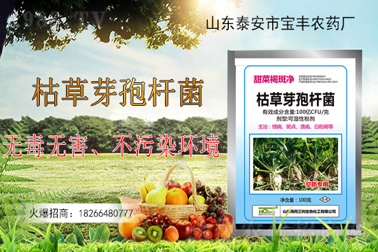 枯草芽孢桿菌能解決作物哪些問題？枯草芽孢桿菌在農(nóng)作物上的應(yīng)用！