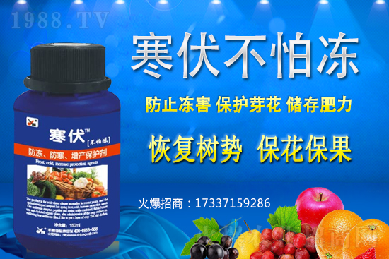 小麥凍害發(fā)生后該怎么辦？補(bǔ)救措施有哪些？小麥凍害和藥害如何區(qū)分？