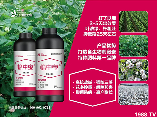 特種肥為什么這么火？有什么特點(diǎn)之處？