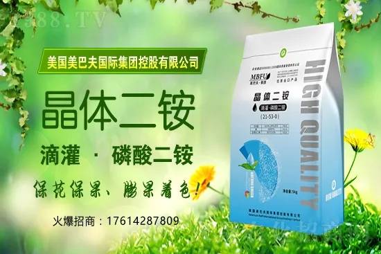 冬季茄果蔬菜蘸花如何避免藥害發(fā)生?蔬菜蘸花注意哪些問題?