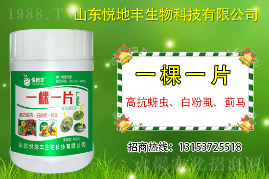 高抗蚜蟲、白粉虱、薊馬用什么打？一蟲不留？