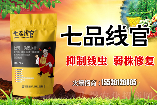     白菜根結(jié)線蟲危害極大！抓緊防治！白菜根結(jié)線蟲有效藥劑推薦！