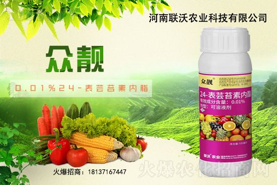 草莓膨果期著色期，如何快速膨果、均勻上色？