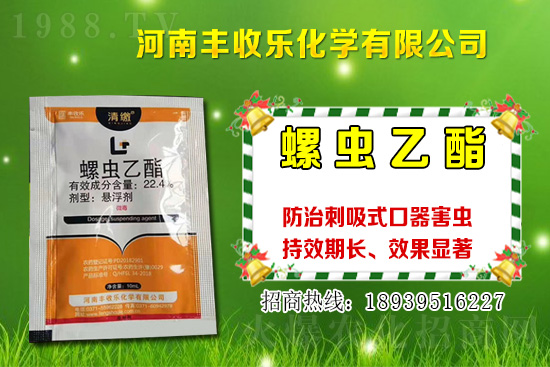 2021年棉花種植品種該怎么選？棉花選種要注意哪些問題？