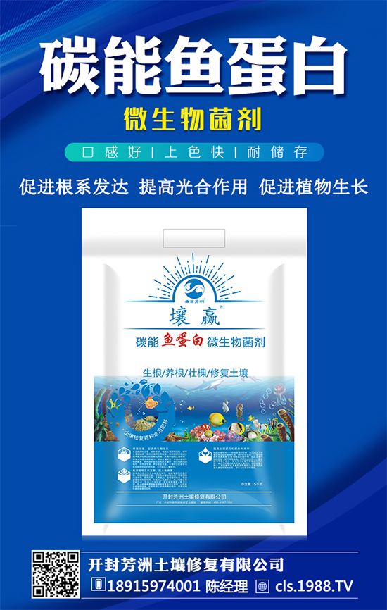 豆角種植時間，豆角生長過程的管理要點！