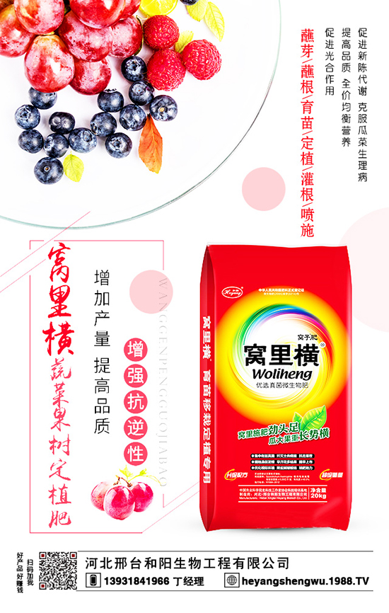 ���t�������Ҏ(gu��)����ʲô�أ�