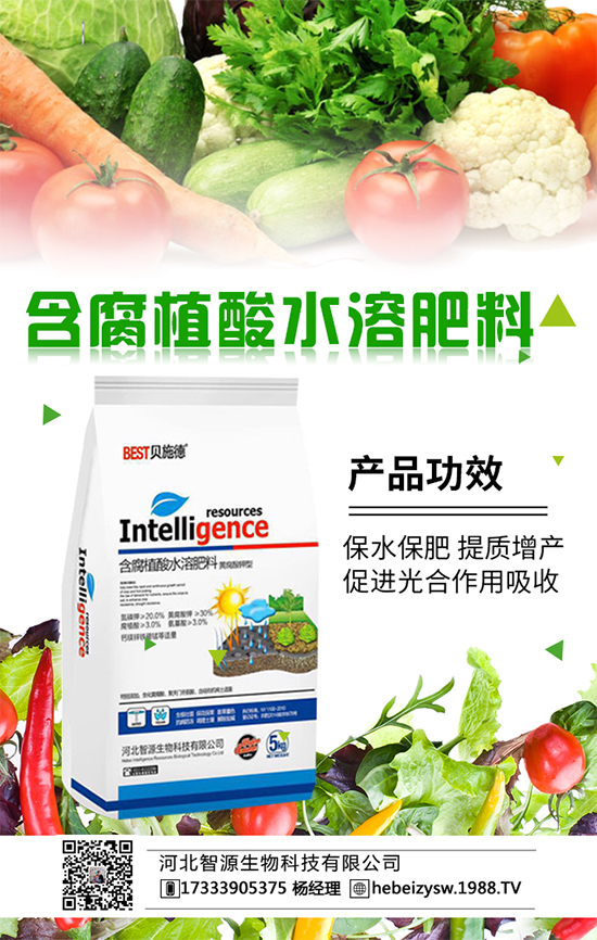 �����Nֲ����ʩʲô�ʺ�����