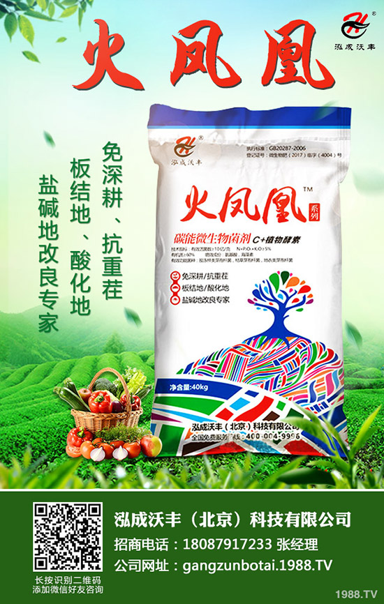 常見果樹蛀干害蟲有哪些，果樹蛀干害蟲如何消滅？