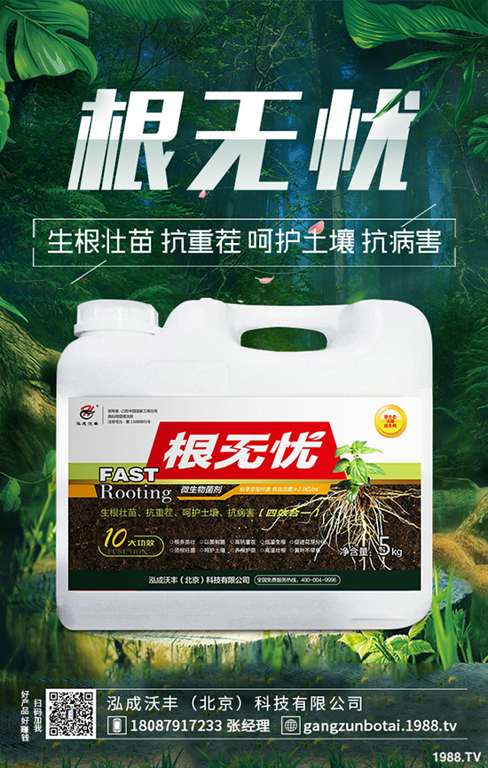 豆角鉆心蟲危害大、抗性大怎么辦？豆角鉆心蟲綜合防治！