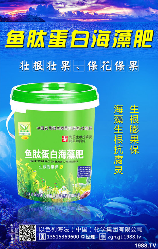 韭菜育苗需要移栽嗎？春季韭菜育苗移栽的注意事項(xiàng)