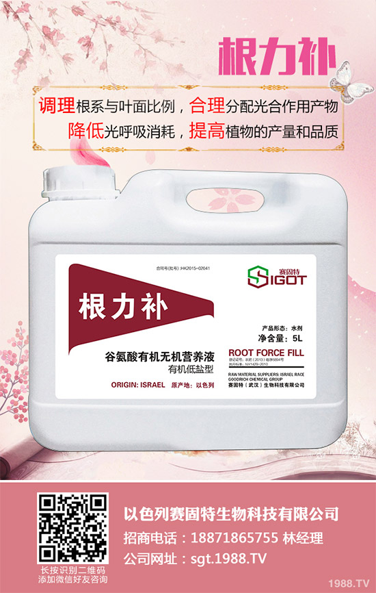 小麥春季常見(jiàn)的病害有哪些？該如何防治？春季小麥病害防治方法介紹