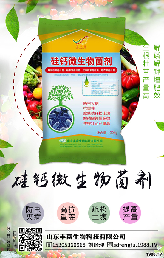 花生如何選種？花生怎么種植能高產(chǎn)？