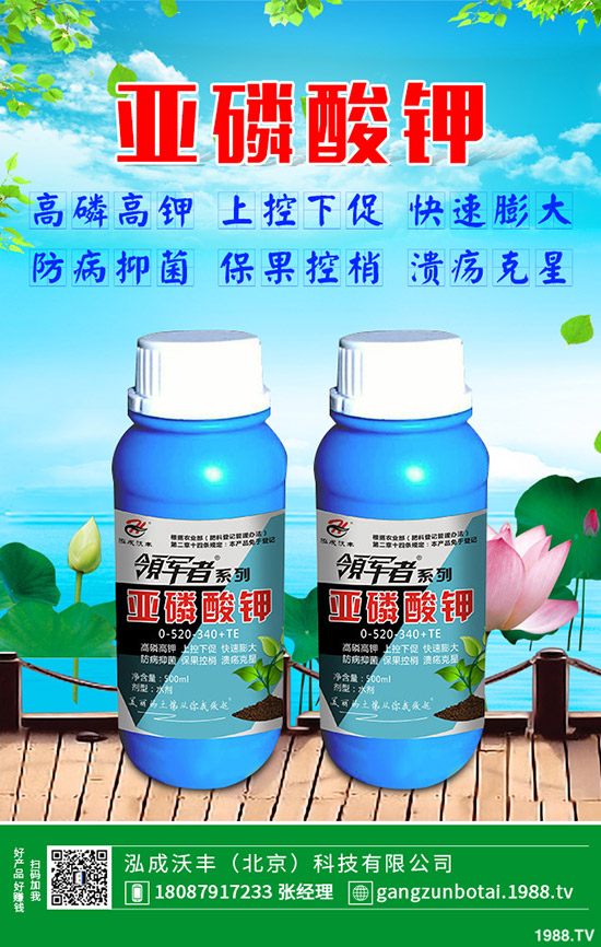 有機蔬菜與無公害蔬菜的區(qū)別，無公害蔬菜如何防蟲？