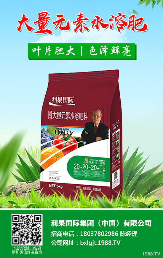 金銀花種植前景如何？2020金銀花的種植前景及效益分析