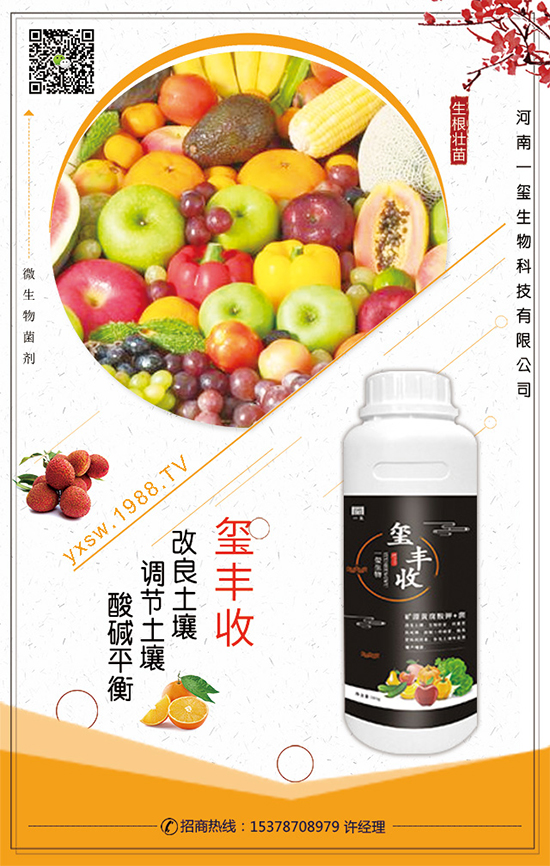 葫蘆的生長(zhǎng)習(xí)性，葫蘆種植技術(shù)要點(diǎn)！