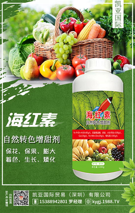 櫻桃蘿卜什么時(shí)間種植？櫻桃蘿卜種植方法！