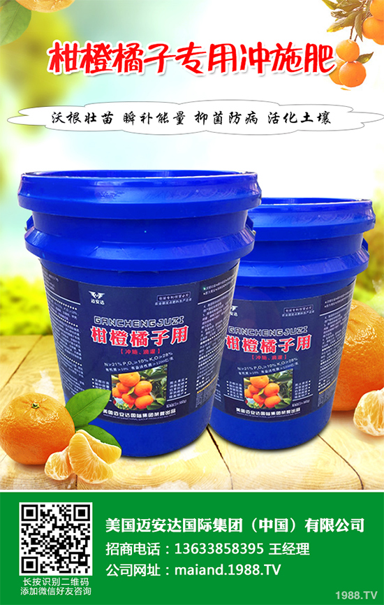 花椒樹該如何種植？三步幫你輕松種出高產(chǎn)花椒！