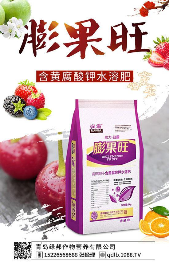 四季豆落花落莢是什么原因？四季豆落花落莢預(yù)防措施！