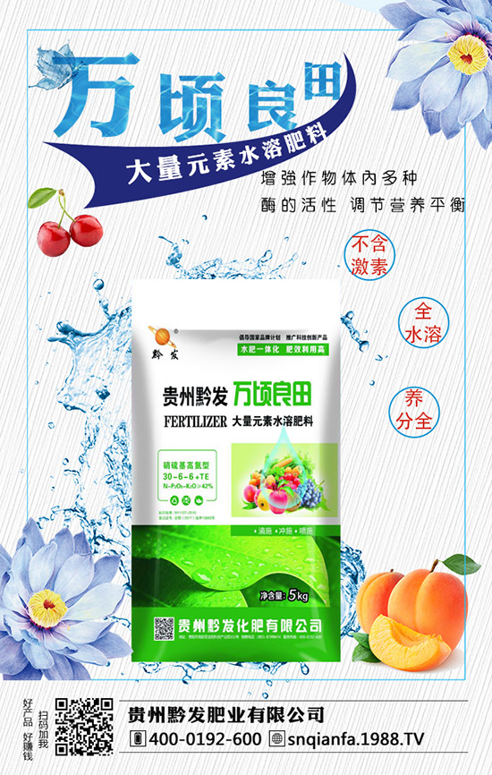 西蘭花育苗技術(shù)有哪些，西蘭花育苗的注意事項！