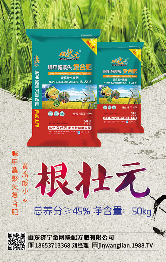 露地茄子該如何種植？茄子春季種植管理技術要點