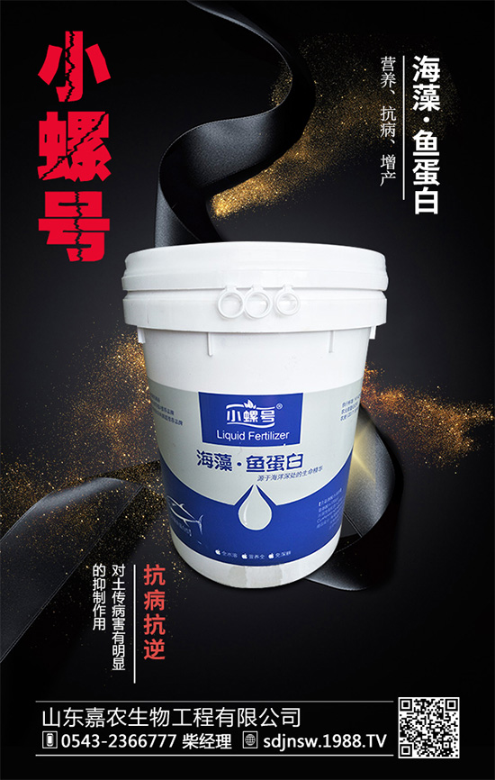 露地茄子該如何種植？茄子春季種植管理技術要點