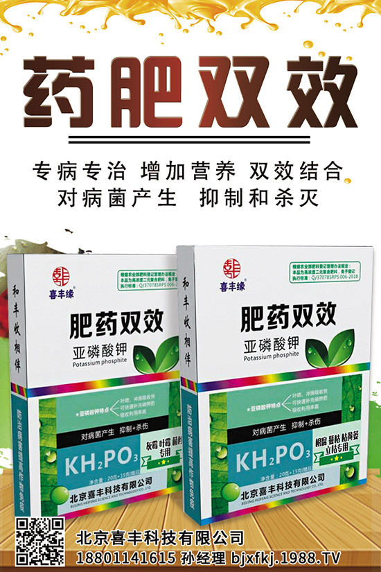 西蘭花施肥管理技術(shù)有哪些，這些一定要看！