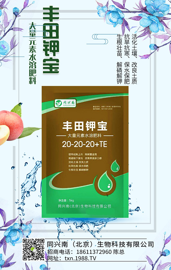 豌豆什么時(shí)候種，豌豆種植時(shí)間及種植要點(diǎn)！